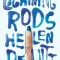 Lightning Rods