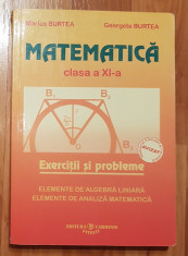 Matematica. Clasa a XI-a. Exercitii si probleme de Marius si Georgeta Burtea foto