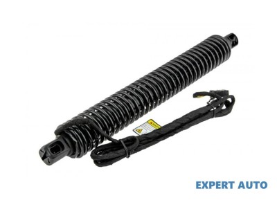 Amortizor capota spate BMW X5 (2007-&amp;gt;) [E70] #1 foto