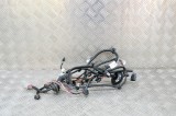 Cablaj ușă dreapta spate TESLA MODEL S 2016 OEM: 1069106-01-B 14697415