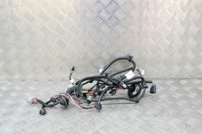 Cablaj ușă dreapta spate TESLA MODEL S 2016 OEM: 1069106-01-B 14697415 foto