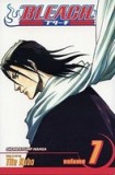 Bleach, Volume 7