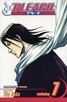 Bleach, Volume 7 foto
