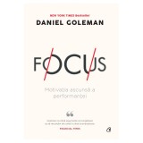 Focus. Ed a II a, Daniel Goleman, Curtea Veche