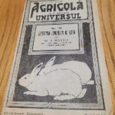 CRESTEREA IEPURILOR DE CASA - A. Mauch - Biblioteca Agricola nr. 19, 1934, 40p.