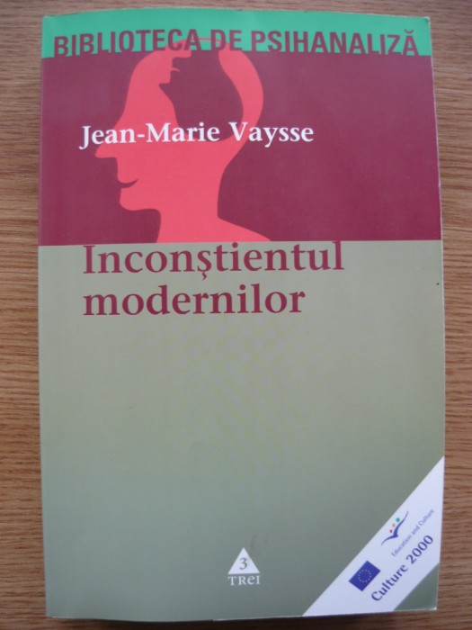 JEAN-MARIE VAYSSE - INCONSTIENTUL MODERNILOR - 2004