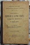 Uscarea prunelor si altor fructe Fabricatul magiunului - Dr. Maximilian Popovici 1904