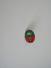 QW9 N 10 - insigna - militar - parasutism