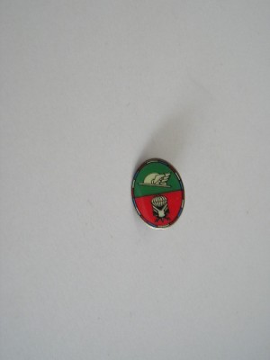 QW9 N 10 - insigna - militar - parasutism foto