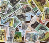 PLIC FILATELIC 25 TIMBRE STRAINE DIFERITE STAMPILATE, CU TEMATICA ELEFANTI + BONUS, Fauna
