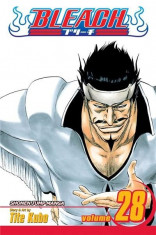 Bleach Vol. 28 - Baron&amp;#039;s Lecture Full-Course | Tite Kubo foto