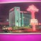 HOPCT 8261 HOTEL FLAMINGO -LAS VEGAS NEVADA -SUA-AMERICA DE NORD -NECIRCULATA-