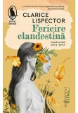 Fericire clandestina