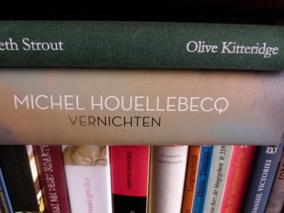 Vernichten - Houllebeque foto