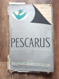 Top H&acirc;rtie Copiativă &bdquo;Pescăruș&rdquo; Vintage &ndash; Fabrica Aurora București, Birotică Colecție