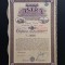 Actiune 1925 ASTRA , fabrica de vagoane si motoare , actiuni , titlu la purtator