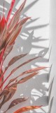 Husa Personalizata SAMSUNG Galaxy A41 Red Leaves