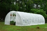 Solar/Sera&nbsp; Micul Fermier 8x3x2m , polietilena, densitate 140g/mp UV4