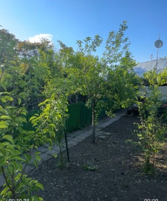 Tren intravilan T&amp;acirc;rgu Frumos foto