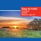 Rand McNally Easy to Fold: Texas State Laminated Map