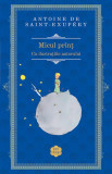 Micul prin&Aring;&pound; - Hardcover - Antoine de Saint-Exup&Atilde;&copy;ry - RAO