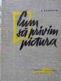 Cum să Privim Pictura - A. Kamenski (1963) - Album Artă, Editura Meridiane, Carte &icirc;n Rom&acirc;nă