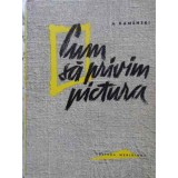 CUM SA PRIVIM PICTURA-A. KAMENSKI-261561