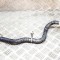 Furtun de lichid de răcire TESLA MODEL 3 2022 OEM: 1629594-00-B 20319507