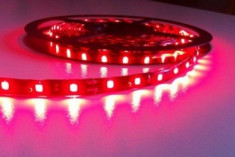 Rola banda LED 12V Rosie Rezistenta la apa 5 M foto