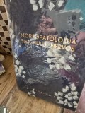 MORFOPATOLOGIA SISTEMULUI NERVOS - ION T. NICULESCU