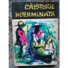 Brian Fawcett - Călătorie neterminată