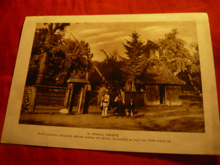 Fotografie Folclor : Tara Oltului si Dragus in Tara Fagarasului ,19,5x13,5cm