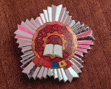 QW9 L 53 - Insigna - tematica comunism - Fruntas in intrecere - 1979