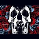 Deftones - Vinyl | Deftones