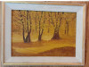 Peisaj de toamna aurie, tablou semnat indescifrabil 1986 dimensiuni 42x55 cm, Peisaje, Ulei, Impresionism