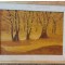 Peisaj de toamna aurie, tablou semnat indescifrabil 1986 dimensiuni 42x55 cm
