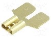 Terminal tip plat, pentru surub {{Orificiu pentru &amp;#351;urub}}, TE Connectivity - 61765-1
