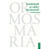 Gondolatok az ember t&ouml;rt&eacute;net&eacute;ről - Időutaz&aacute;sok a F&ouml;ld nevű &eacute;gitesten 800 &eacute;s 1500 k&ouml;z&ouml;tt - Ormos M&aacute;ria
