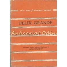 Biografie - Felix Grande