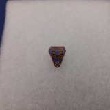 Insigna A S Paroseni Vulcan