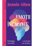 Emotii incalcite. Intelege ce simti ca sa stii ce sa faci/Jennie Allen, Curtea Veche Publishing