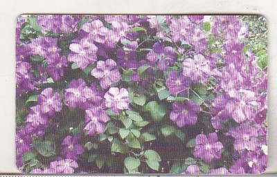bnk card Cartela telefonica 2006 - Flori 2 - RO-ROM-0361A foto