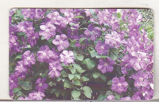 bnk card Cartela telefonica 2006 - Flori 2 - RO-ROM-0361A