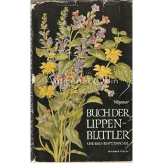 Buch Der Lippenblutler Und Rauhblattgewachse - Herbert Weymar