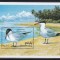 Maldive 1993 - Păsări + Fluturi și flori, 2 Colițe, 4 poze, MNH