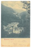 5311 - Baile HERCULANE, Caras-Severin, Panorama, Litho, Romania - old postcard - used - 1902