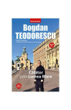 Călător prin Lumea Mare - Paperback brosat - Bogdan Teodorescu - Tritonic