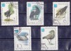 A12 S5 1 - Timbre foarte vechi - fosta URSS - pasari de balta, Fauna, Stampilat