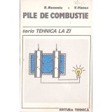 PILE DE COMBUSTIE-S. MUSCALU, V. PLATON-266221
