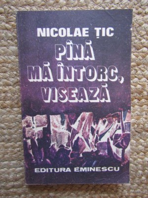 NICOLAE TIC - PANA MA INTORC, VISEAZA foto